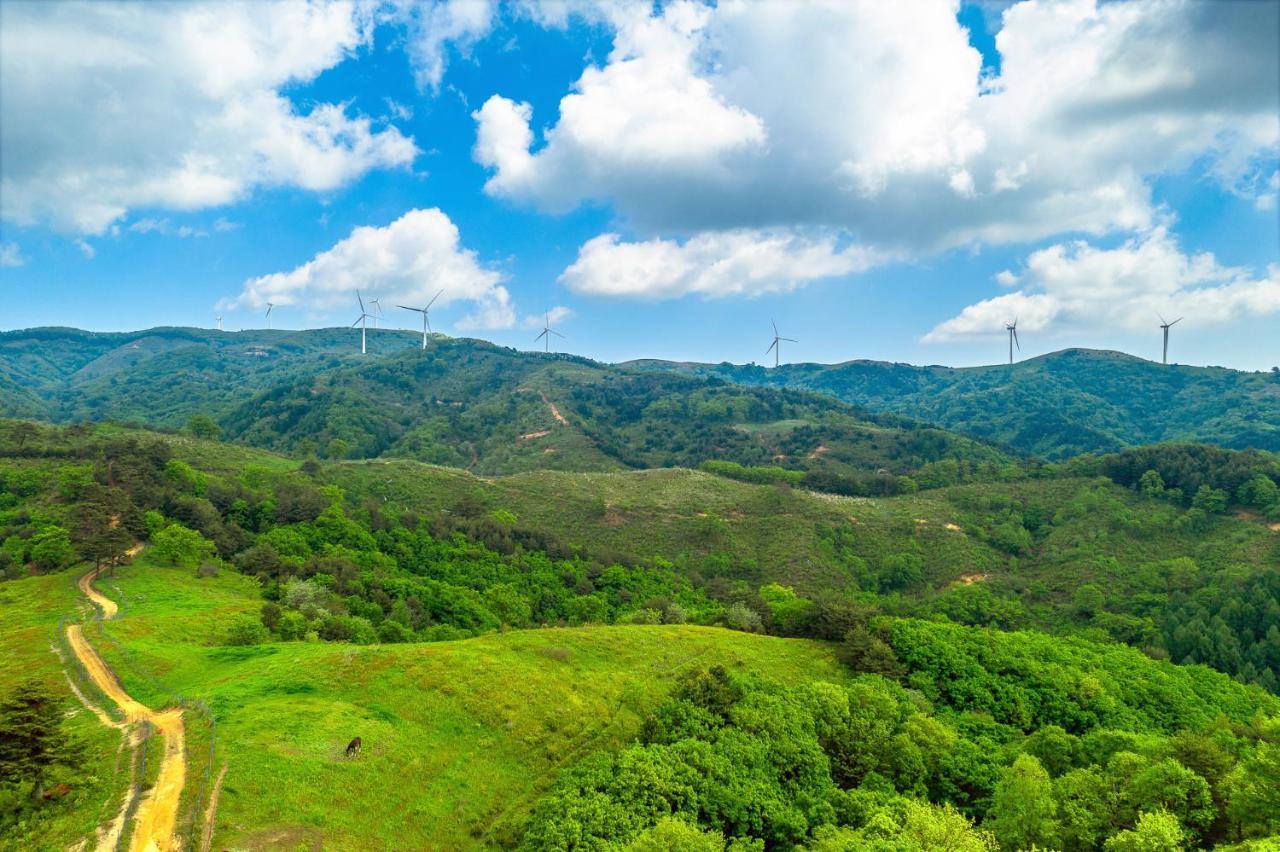 Pungcha & Herb Pension Pyeongchang Luaran gambar