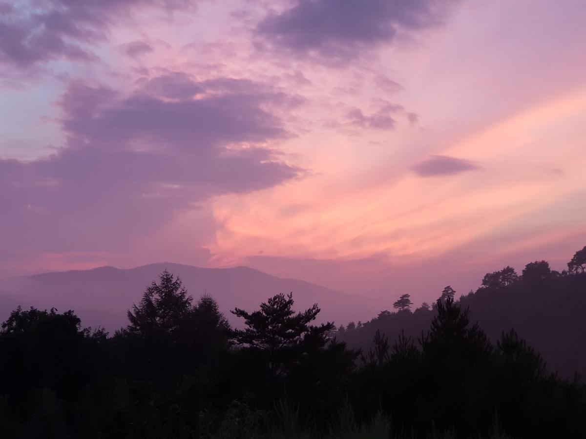 Pungcha & Herb Pension Pyeongchang Luaran gambar